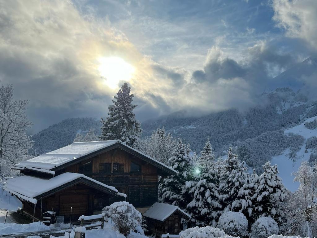 Superbe Chalet Ле-Контамин-Монжуа Экстерьер фото